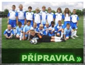 pripravka